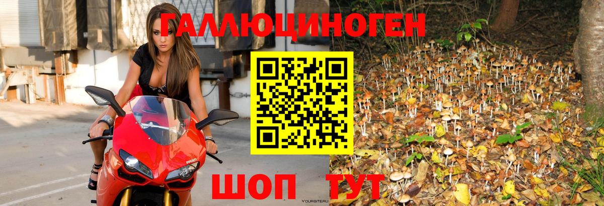 Сургут  Галлюциногенные грибы Psilocybine cubensis  Вход с VPN 